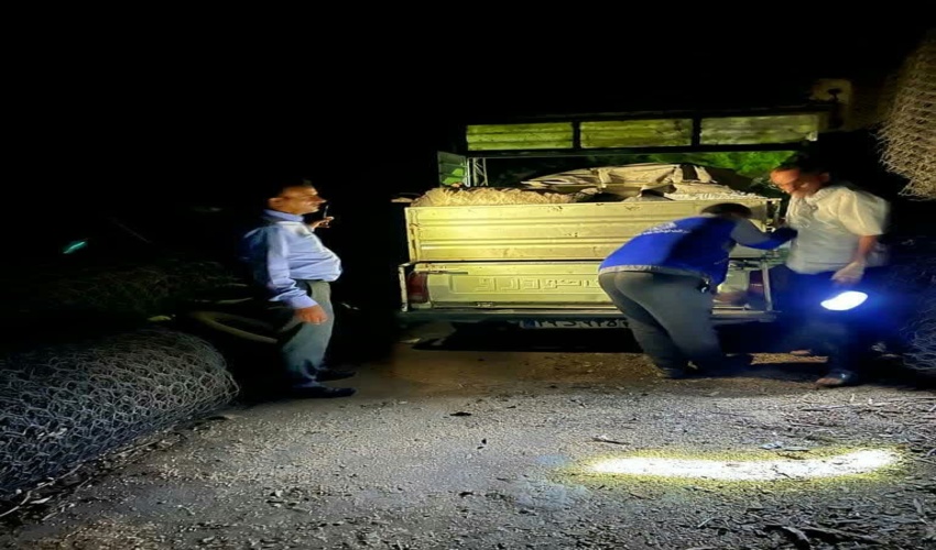 چهار میلیون بذر و نهال در استان مرکزی کاشته می شود 