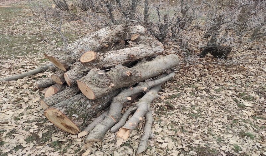نشست روسای منابع طبیعی و آبخیزداری و دانشگاه آزاد اسلامی شهرستان کمیجان 