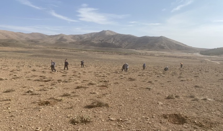 اجرای پویش بذرکاری در شهرستان کمیجان