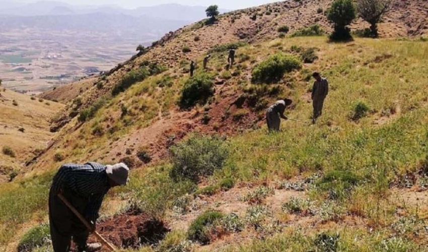 برگزاری دوره آموزشی آشنایی با قوانین و مقررات منابع طبیعی در روستای یساول شهرستان کمیجان  