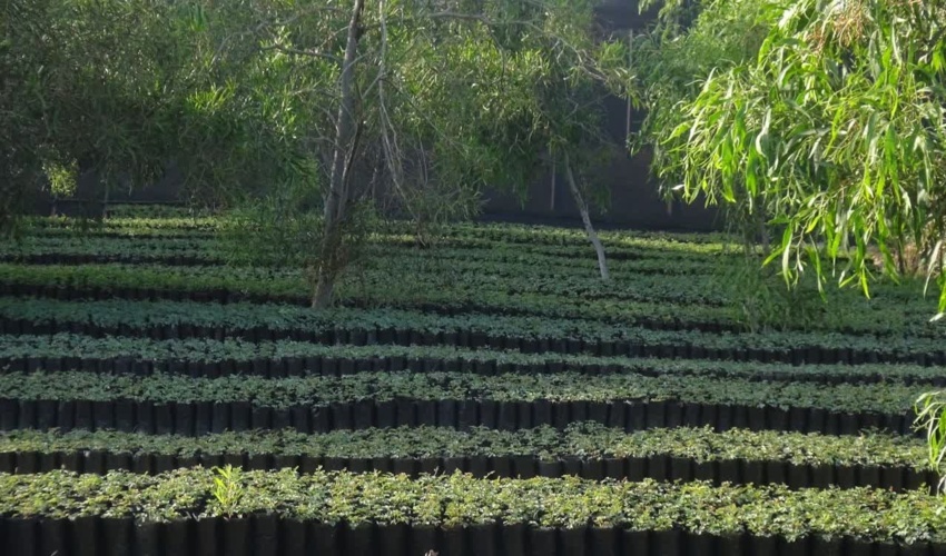 برگزاری کارگاه آموزشی ترویجی در مدرسه دخترانه  پروانه آقارضایی شهرستان تفرش