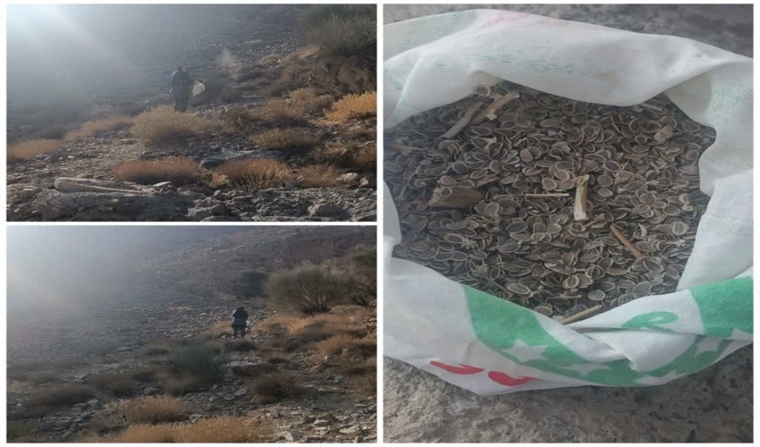 مانور لحظه صفر شهرستان کمیجان برگزار شد