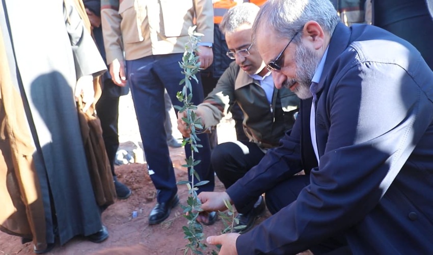 اجرای پویش ملی صبح زیتون در استان مرکزی/ کاشت زیتون به یاد شهدای غزه