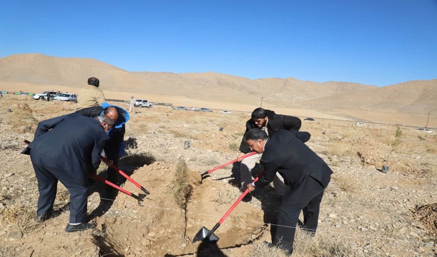 کاشت ۱۲ هزار و ۵۰۰ اصله نهال در استان مرکزی