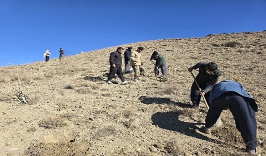 اجرای عملیات کپه‌کاری در سطح ۵۲ هکتار از مرتع احمدآباد شهرستان تفرش