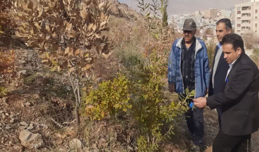 اجرای طرح هر مدرسه یک نهالستان در استان مرکزی