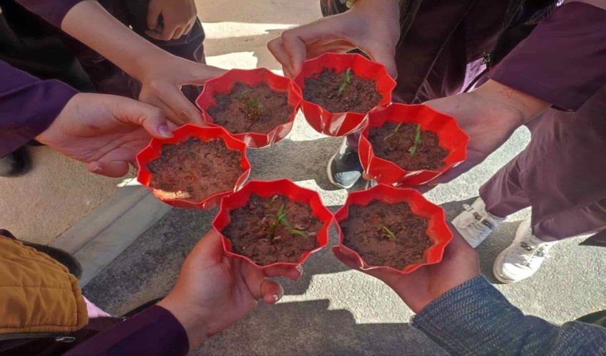 اجرای طرح شهید مرادی در مدارس استان