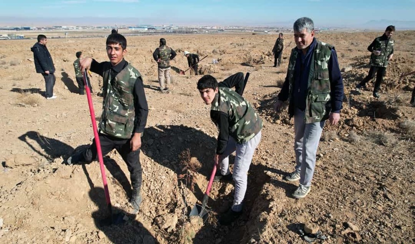 نهال‌کاری در ۶۶ هکتار از عرصه‌های شهرستان محلات