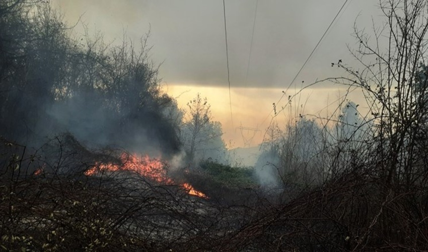 نشست رئیس اداره منابع طبیعی و آبخیزداری با بخشدار مرکزی ساوه 