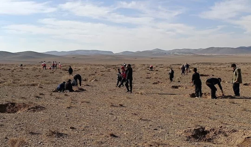 برگزاری پویش بذر کاری در منطقه بیابانی حاجی آباد شنک شهرستان زرندیه