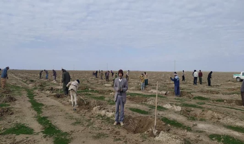 برگزاری پویش نهال کاری با حضور مدیر کل دفتر امور مراتع سازمان منابع طبیعی و آبخیزداری کشوردر شهرستان زرندیه 