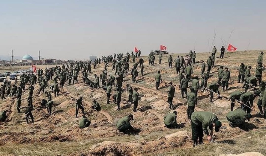 سازمان بسیج سازندگی، همراه منابع طبیعی در طرح کاشت یک میلیارد درخت