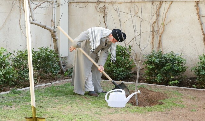 هدف‌گذاری کاشت ۴۷۰۰ اصله نهال توسط سپاه روح الله استان مرکزی
