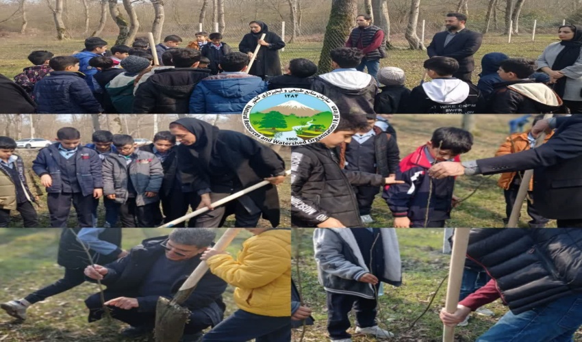 تولید 250 میلیون نهال در سال 1402 ما را به یک میلیارد درخت وعده داده شده نزدیک می کند