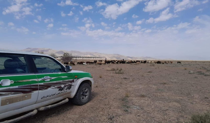 ضرورت رعایت ظرفیت و فصل چرای دام در مراتع دلیجان