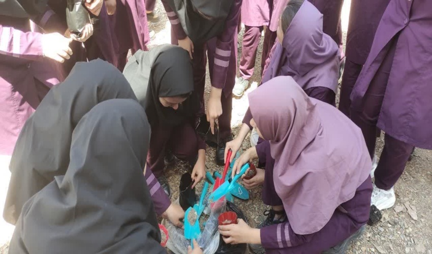 برگزاری دوره آموزشی کاشت بذر سرو خمره ای و جذب همیار طبیعت/ فرهنگ سازی در بین دانش آموزان در حفاظت از منابع طبیعی