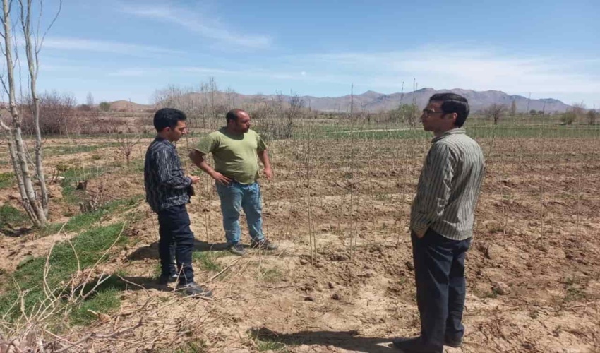  نظارت بر کاشت نهال های توزیع شده در شهرستان خنداب