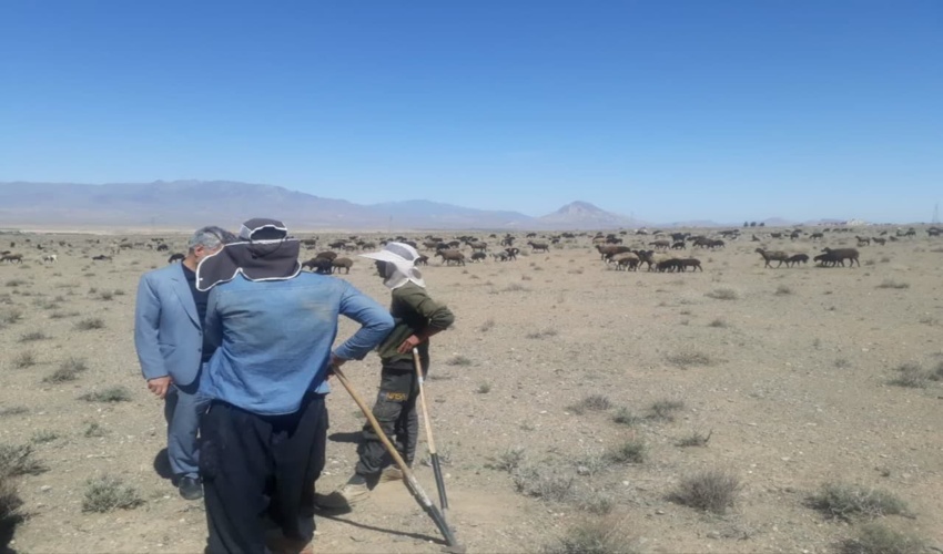 گشت و مراقبت یگان حفاظت اداره منابع طبیعی و آبخیزداری شهرستان دلیجان از اراضی ملی