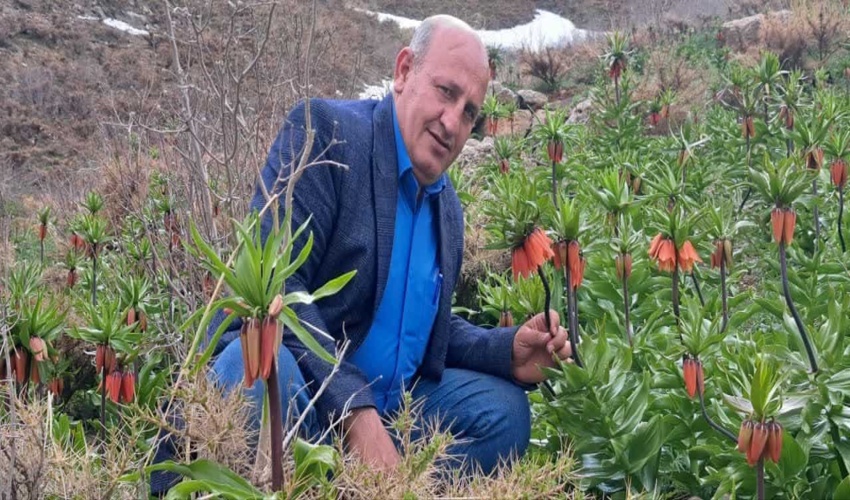 بازدیداز رویشگاه ملی لاله‌های واژگون در شهرستان خمین