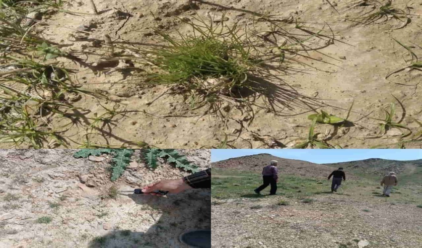 بازدید کارشناسان مرتع از پروژه های بیولوژیک مراتع شهرستان اراک 