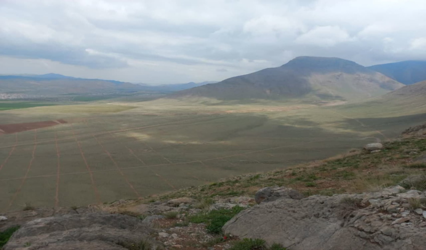 بازدید از طرح جنگلکاری ۲ هزار هکتاری چپقلی شهرستان اراک