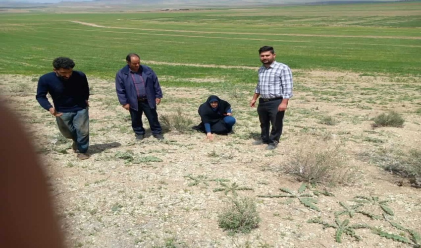 بازدید کارشناسان اداره منابع طبیعی از پروژه های بیولوژیک مراتع مزرعه دوگوش شهرستان آشتیان