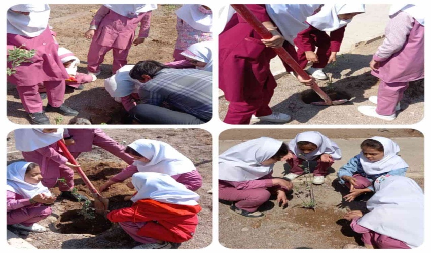 برگزاری پویش کاشت نهال در دبستان دخترانه آیت اله اشعری آسیابک شهرستان زرندیه