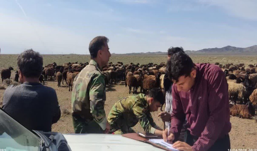 حفاظت از اراضی ملی و کنترل ورود دام غیر مجاز در مراتع شهرستان زرندیه 