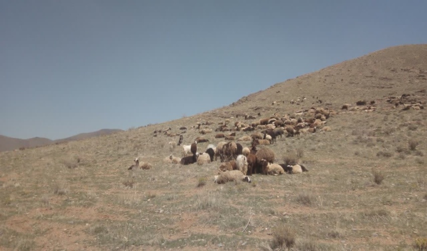 گشت و مراقبت از اراضی ملی شهرستان شازند