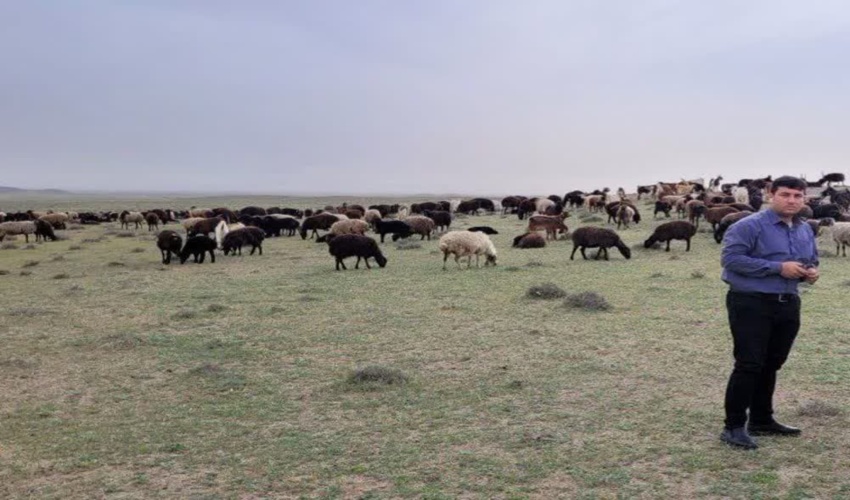 گشت و مراقبت از اراضی ملی و کنترل ورود و خروج دام در مراتع شهرستان زرندیه 