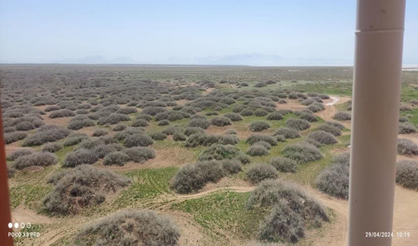 بازدید فرمانده یگان حفاظت اداره کل منابع طبیعی از کویر میقان 