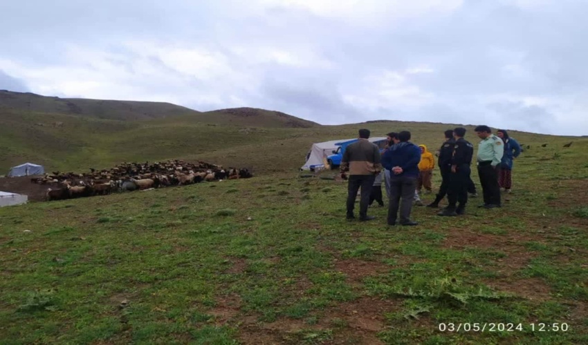 ممنوعیت ورود دام غیر مجاز در مراتع شهرستان شازند 