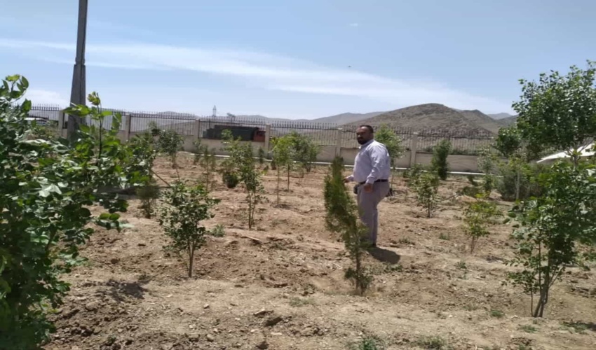 بازدید کارشناسان فنی اداره منابع طبیعی شهرستان اراک از نهال های غرس شده درپارک علم وفناوری