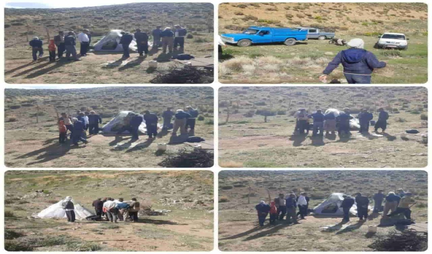  مدیریت چرای دام و تعیین محدوده مراتع توسط کارشناسان اداره منابع طبیعی ساوه 