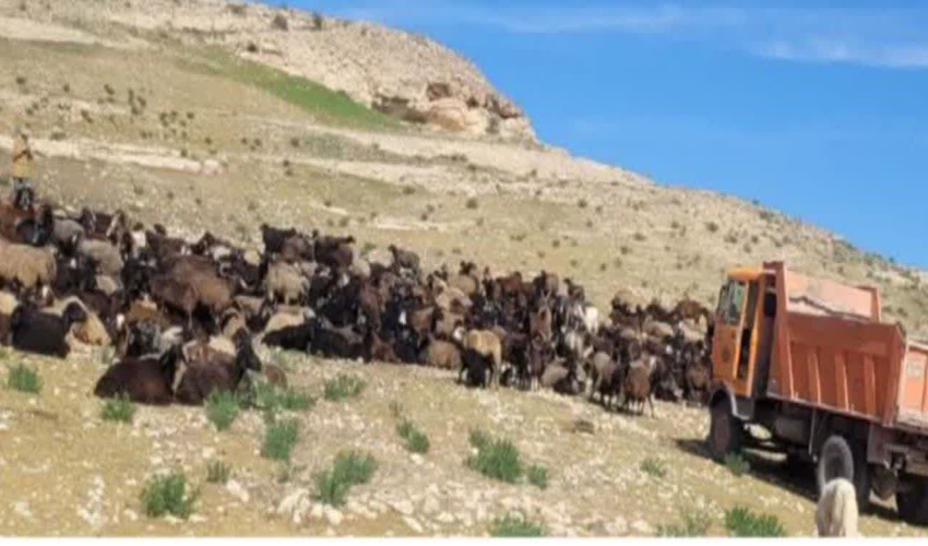 گشت و مراقبت از اراضی ملی و کنترل ورود و خروج دام در مراتع شهرستان زرندیه 