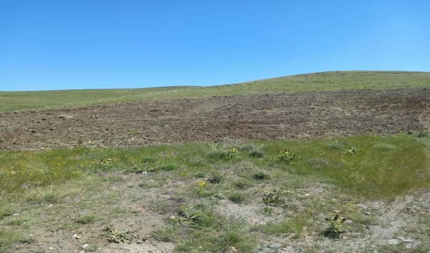 گشت و مراقبت از اراضی ملی شهرستان شازند/شماره های 139 و 1504 را فراموش نکنید