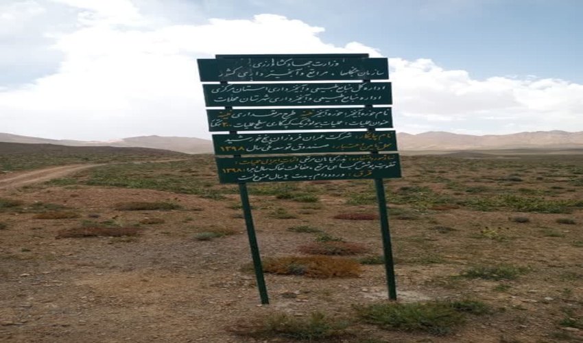 بازدید و نظارت کارشناسان  از طرح مرتعداری پلاک نینه محلات