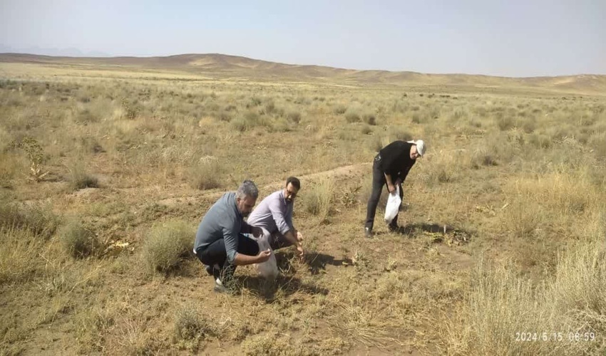 بازدید علمی از مراتع مرادآباد شهرستان آشتیان