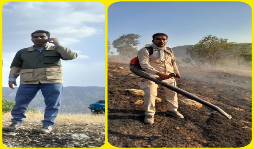 نماینده مردم اراک: کاشت یک میلیارد درخت در کشور نیازمند حمایت مالی ویژه است