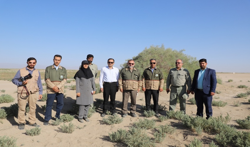 تدوین طرح بیابان‌زدایی در ۲۳۴ هزار و ۱۴۸ هکتار از اراضی استان مرکزی