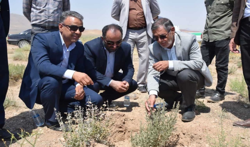 کنترل رواناب‌ها و بیابانزدایی نیازمند اعتبار ویژه است