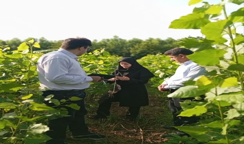 «مسعود پزشکیان» رئیس‌جمهور شد