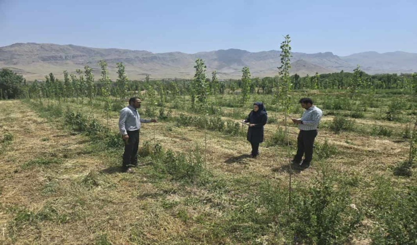 امضای قرارداد طرح بیانزدائی گلچشمه شهرستان محلات