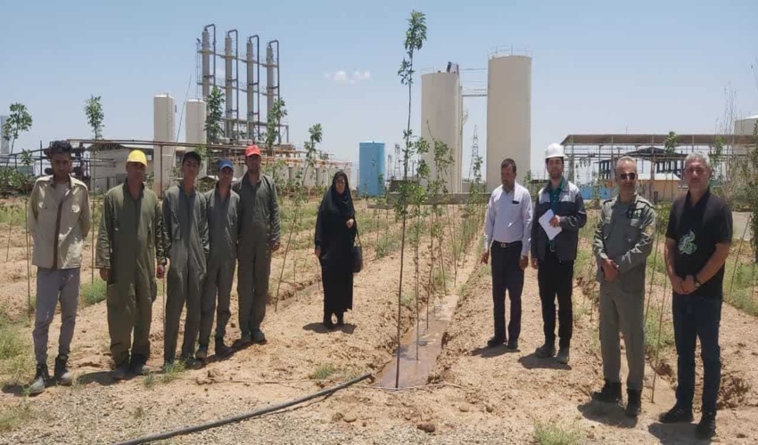 بازدید و نظارت بر کاشت درختان توزیع شده به شرکت تندیس تجارت شهرستان آشتیان