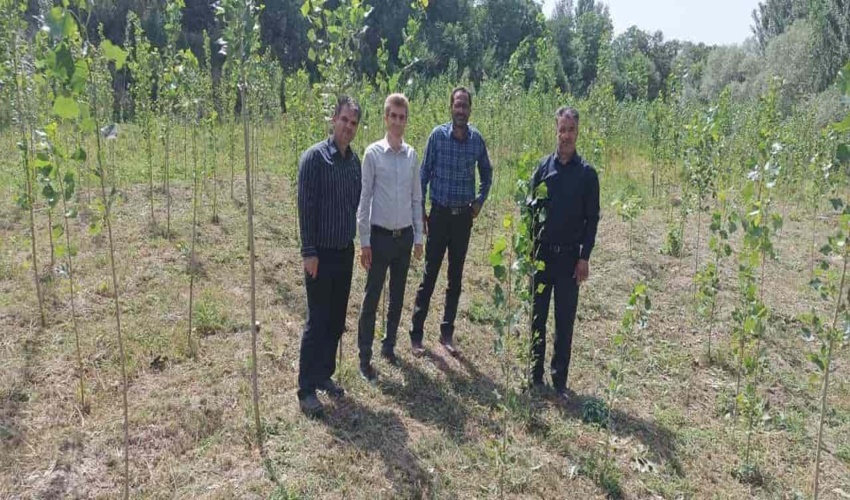 عملیات اطفای حریق در مراتع سیجان شهرستان کمیجان