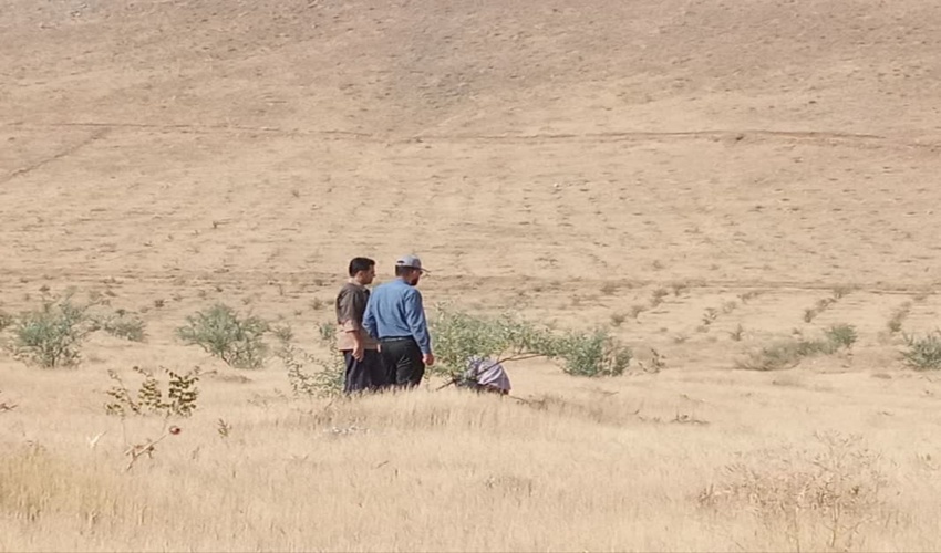 بازدید کارشناسان اداره کل منابع طبیعی از طرح جنگلکاری ۲ هزار هکتاری چپقلی اراک
