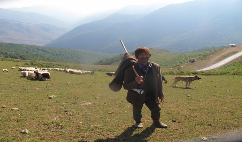 ممیزی 83 میلیون هکتار از مراتع کشور