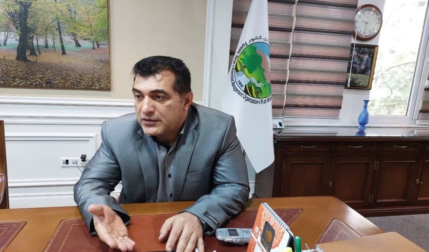 تخصیص حدود ۱۰۰ میلیارد تومان اعتبار به طرح صیانت از جنگل