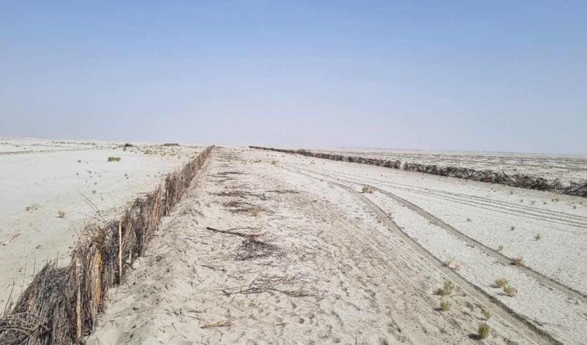 بازدید میدانی از پروژه بادشکن غیر زنده در کویر میقان اراک