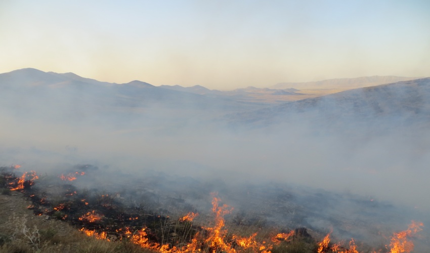 وارد آمدن خسارت به ۳۰ هکتار از اراضی ملی استان مرکزی